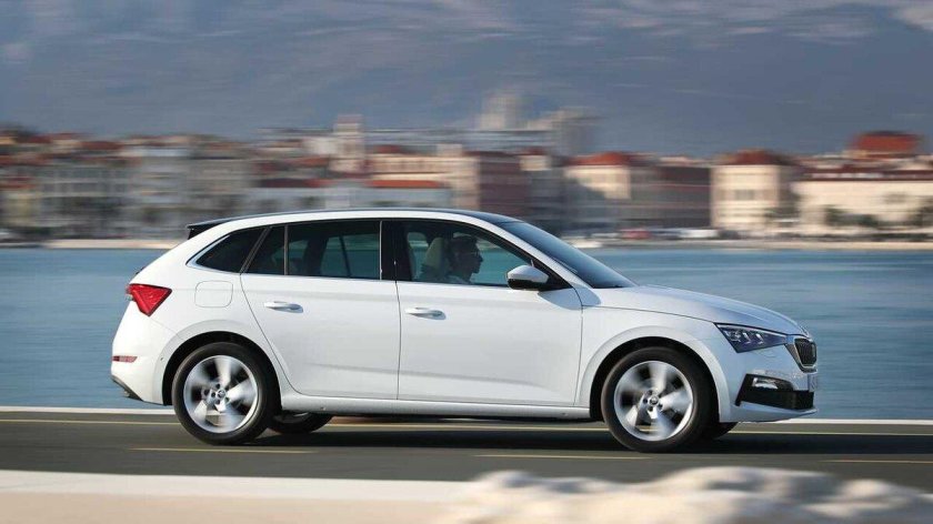 Шкода скала