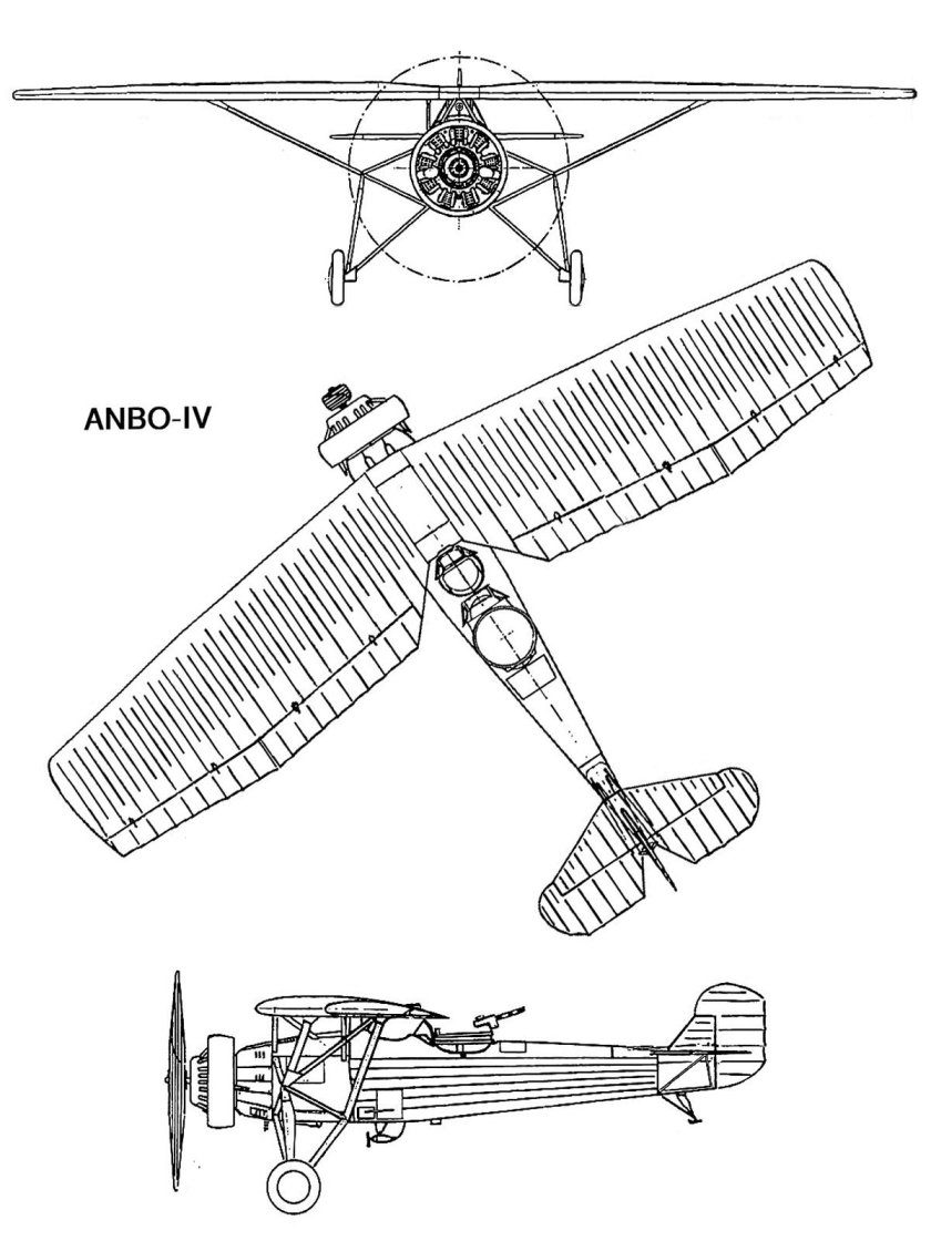 Anbo vector