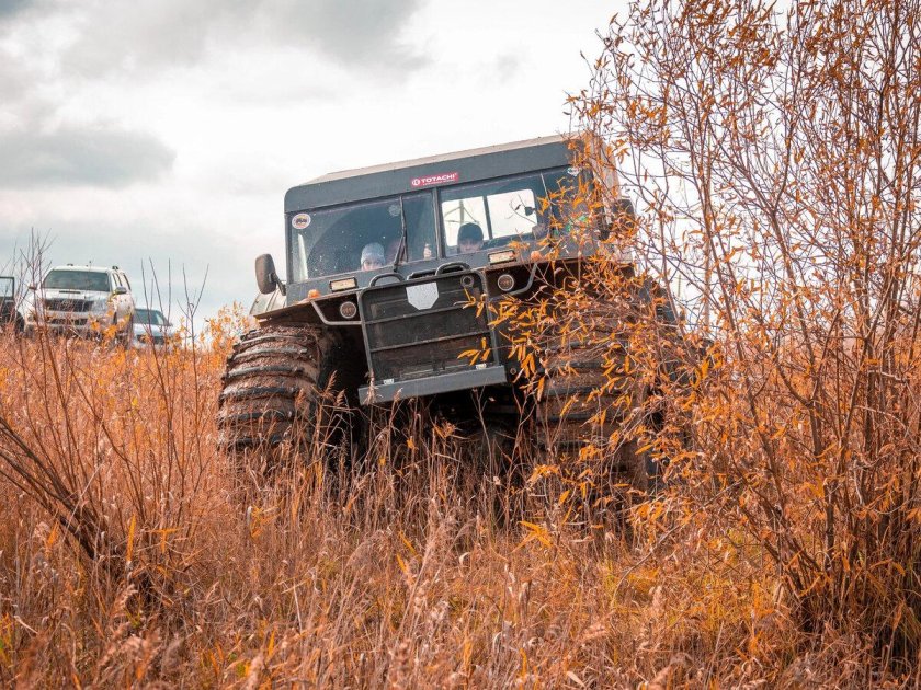 Вездеход Лесник профи