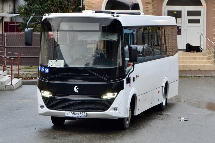 Паз некст автобус