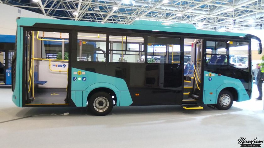 Паз вектор некст 8