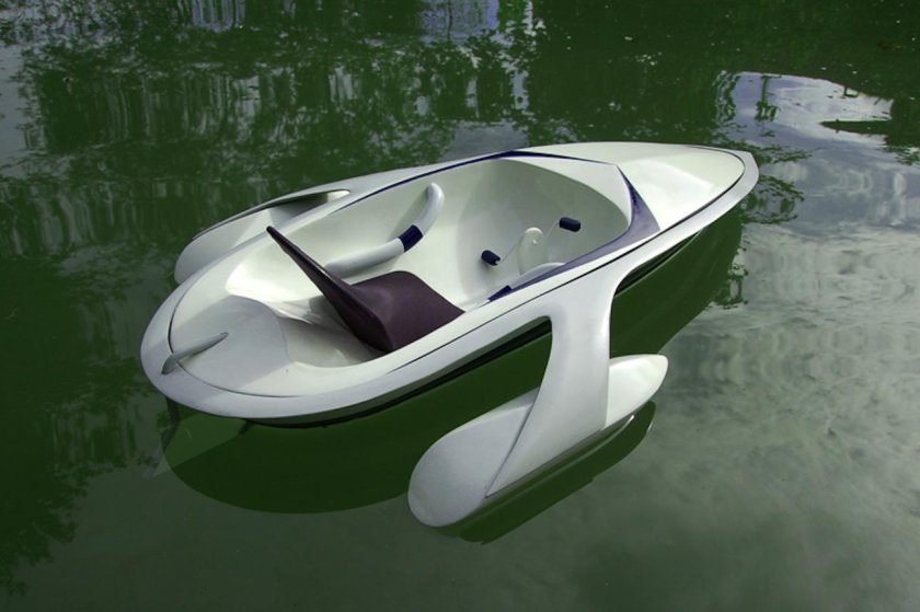 Катамаран Водомерка