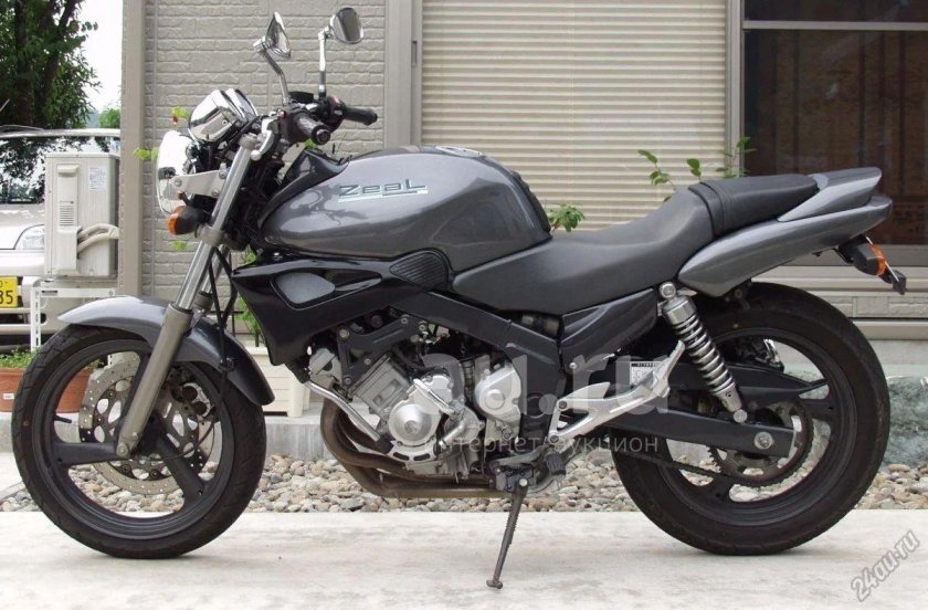 Yamaha FZX 250 Zeal