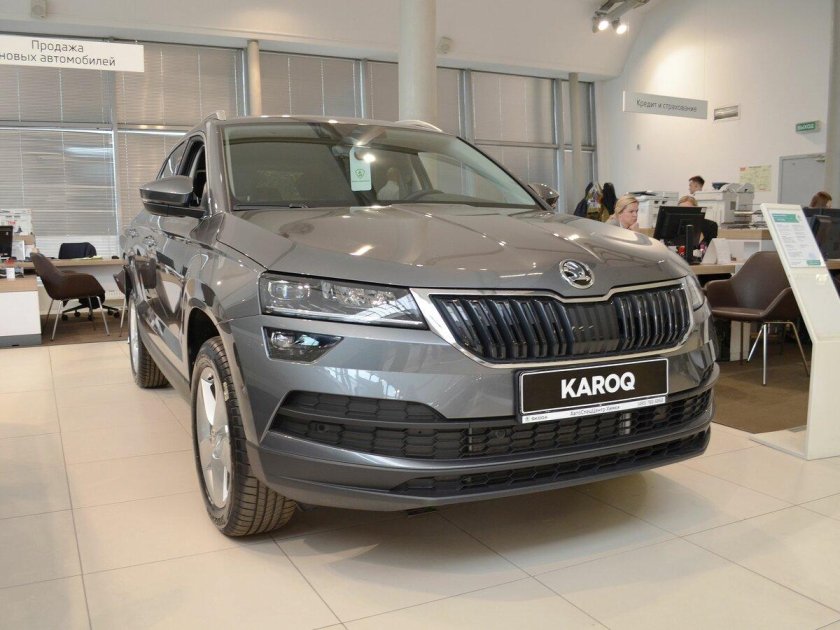 Шкода Карок серая