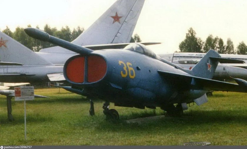 Яковлев як-36
