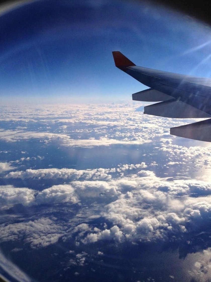 Крыло самолета