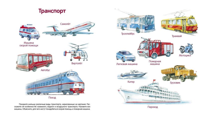 Название транспорта