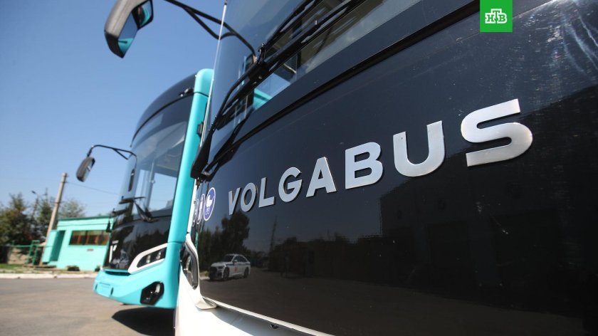 Волгабас автобус кузбасс