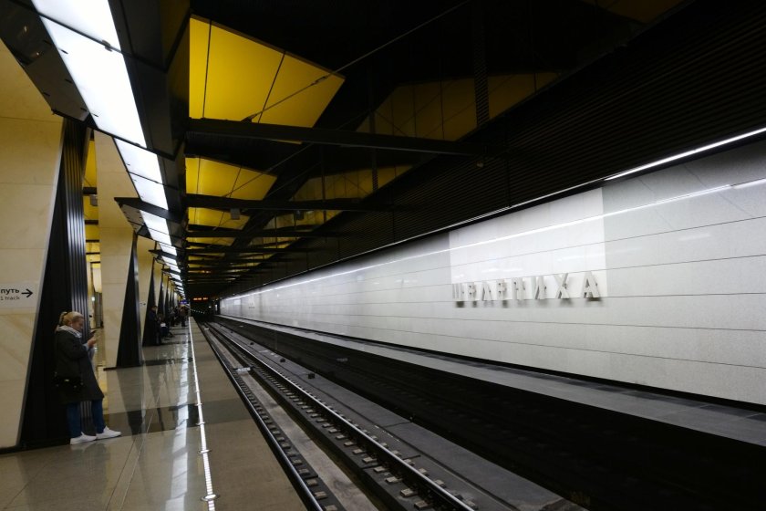 Шелепиха желтая ветка