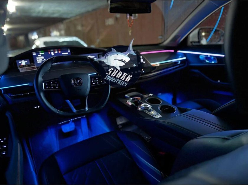 Подсветка Торпедо