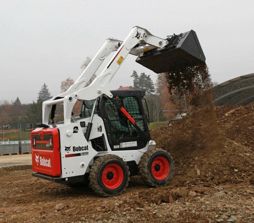 Белый Бобкэт