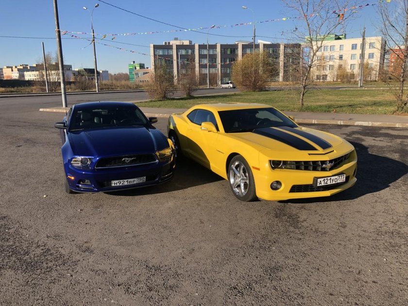 Мустанг Шевроле Камаро