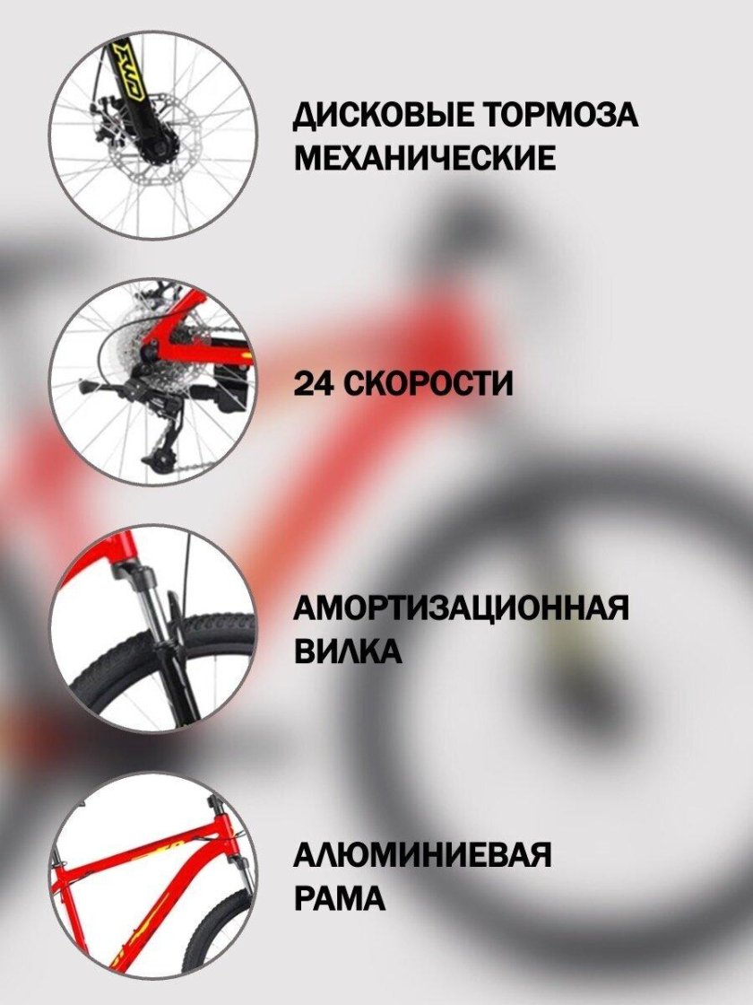 Forward Katana 27.5 d