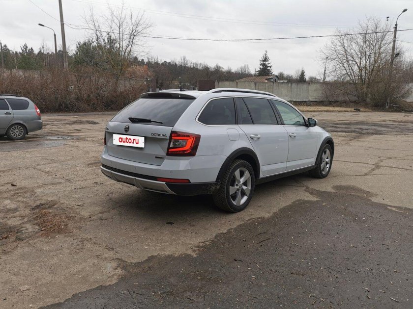 Белая шкода октавия