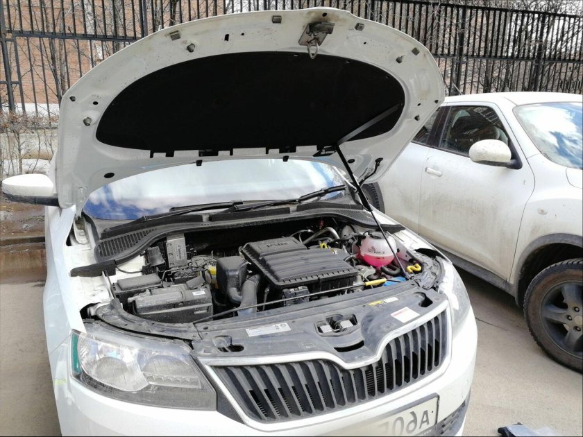 Упоры капота Рапид 2020