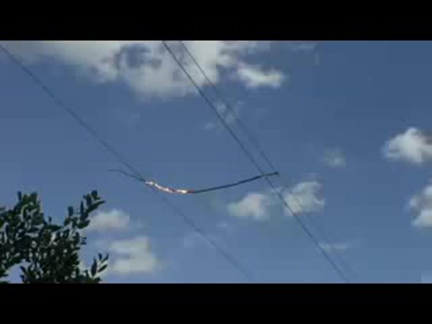 Ветка на проводах вл 10 кв