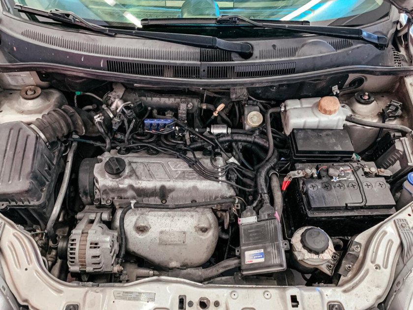 Заз вида 2012