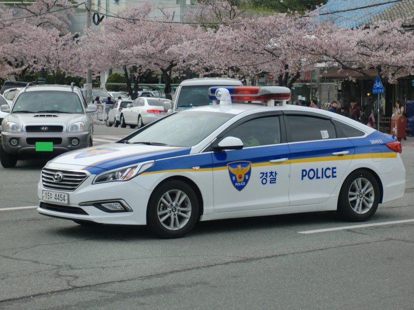 Hyundai Sonata Police