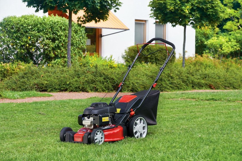 Газонокосилка бензиновая самоходная MTD