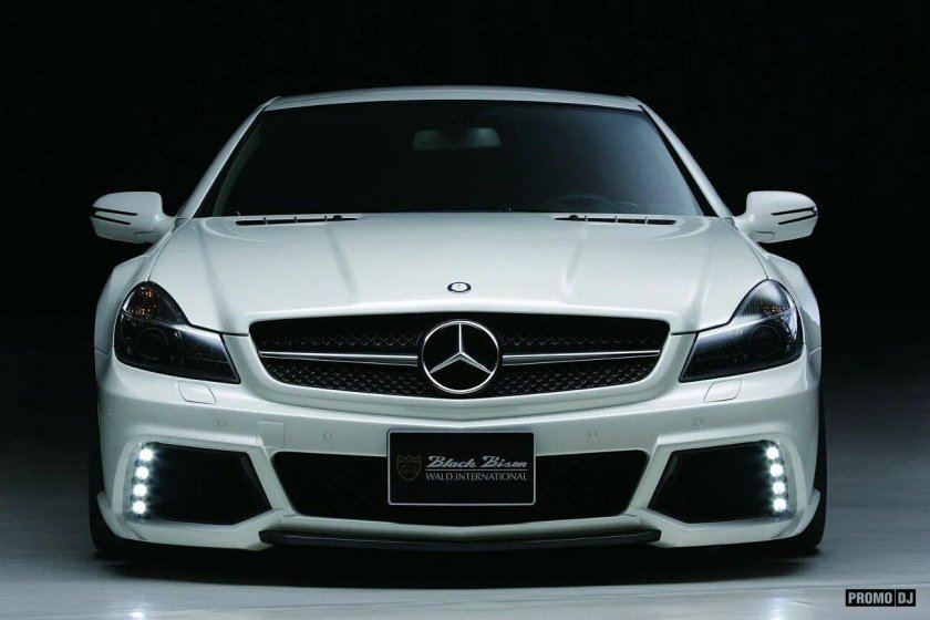 Mercedes-Benz r230 Black Bison