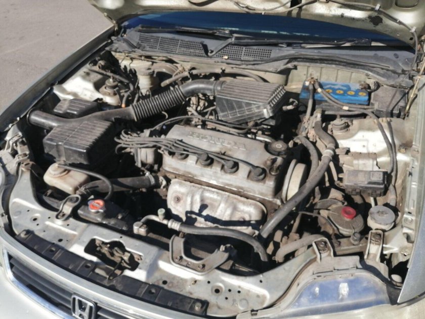 Хонда орхия b20b