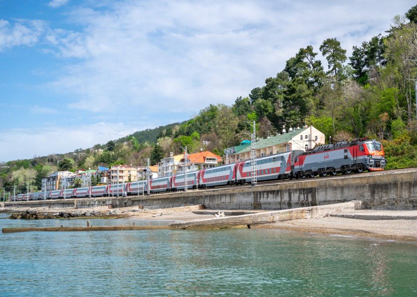 Хоста Мацеста Сочи