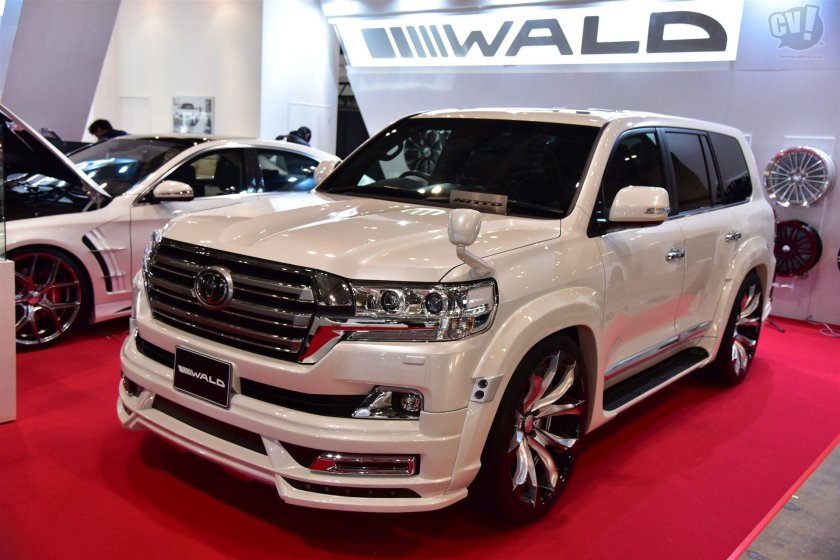 Toyota Land Cruiser 200 Wald