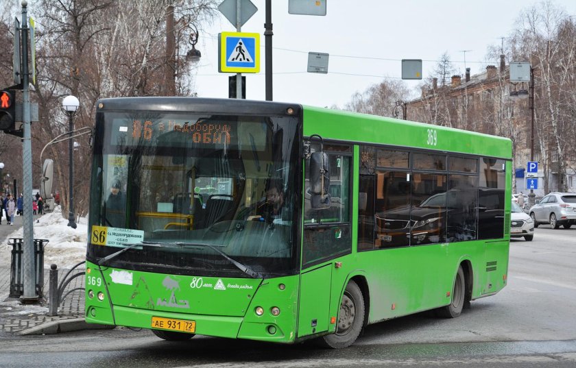 Тюменская область МАЗ 206