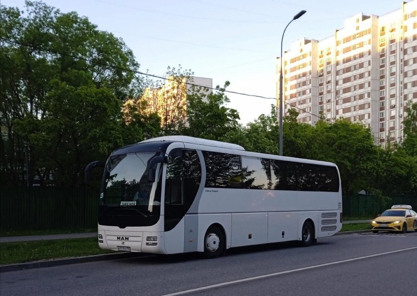 Man Lion's coach r07 (rhc444)