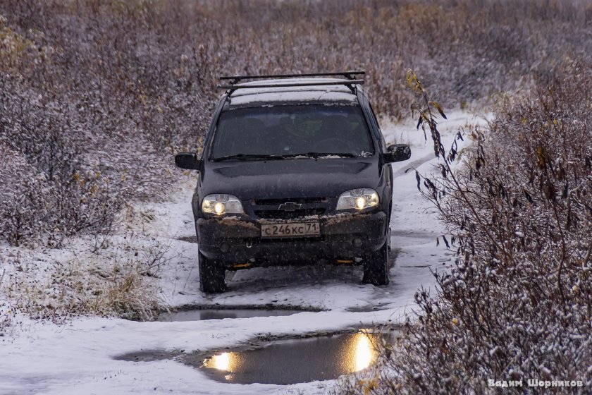 Нива тундра