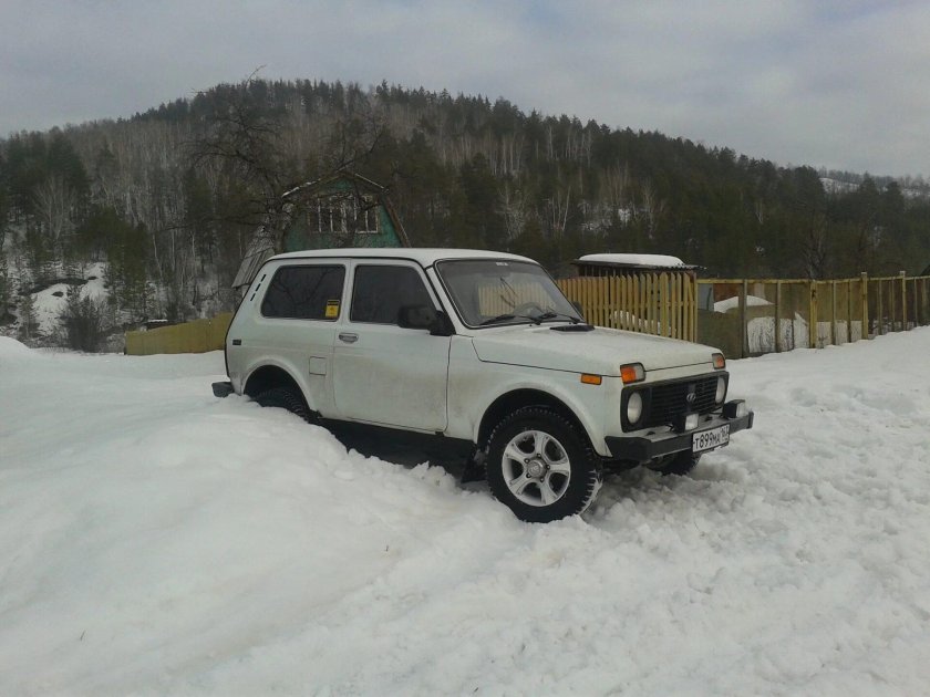 Нива тундра