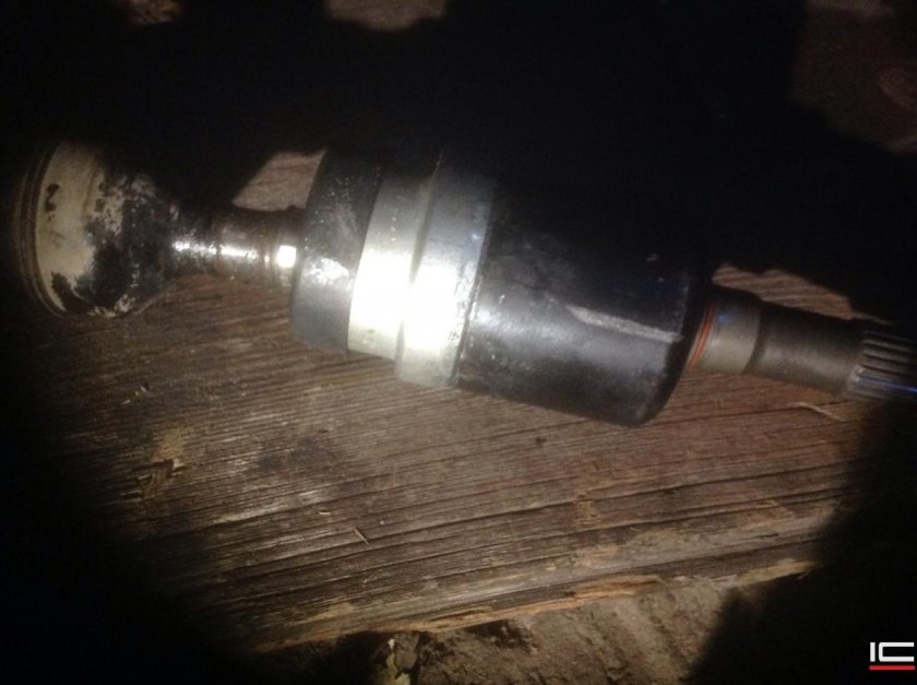 Инсигния пыльник кардана