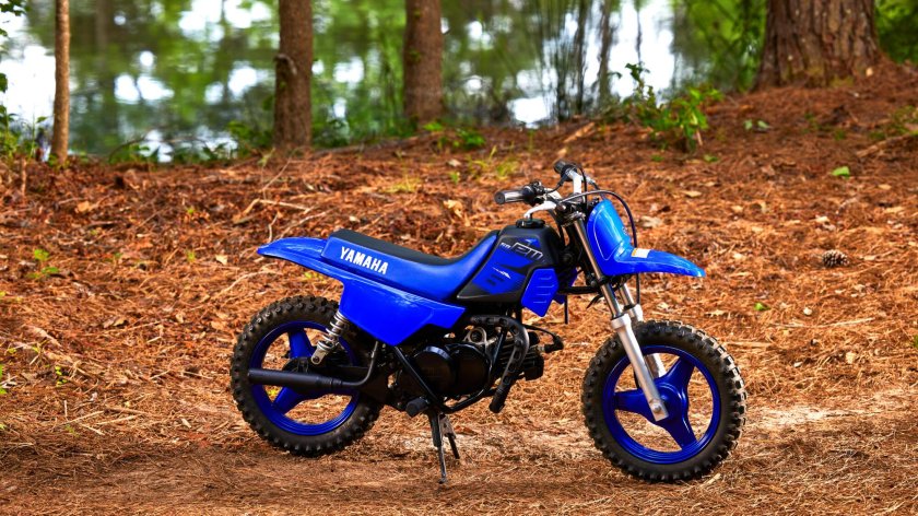 Yamaha pw50