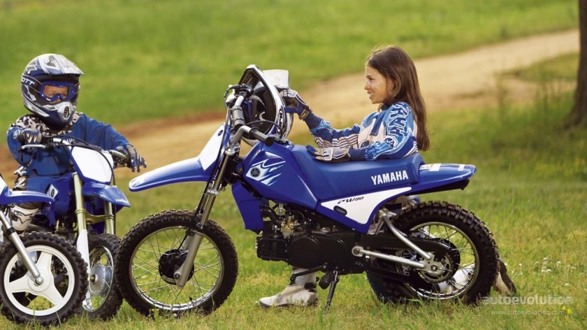 Yamaha pw80