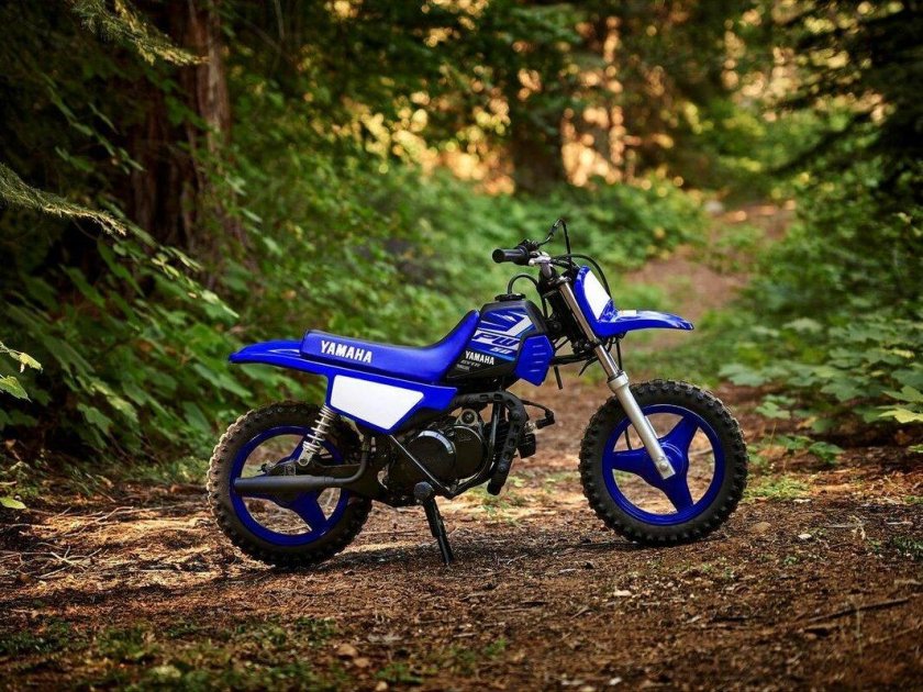 Yamaha pw50