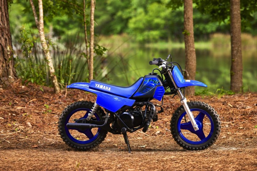 Yamaha pw50
