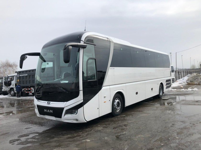 Ман Lion's coach 2021