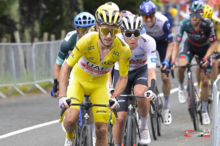 Желтая майка лидера тур де Франс