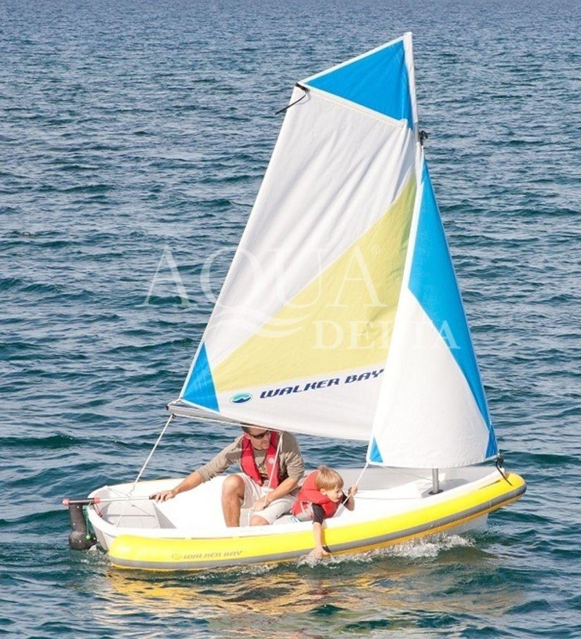 Швертбот трепанг