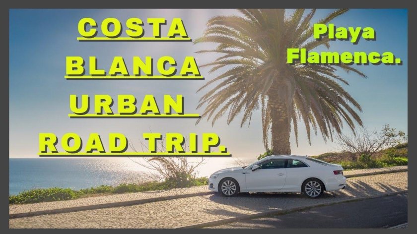 Машина и пальмы