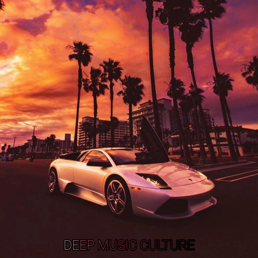 Машина и пальмы