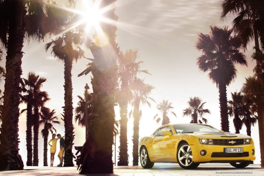 Машина и пальмы