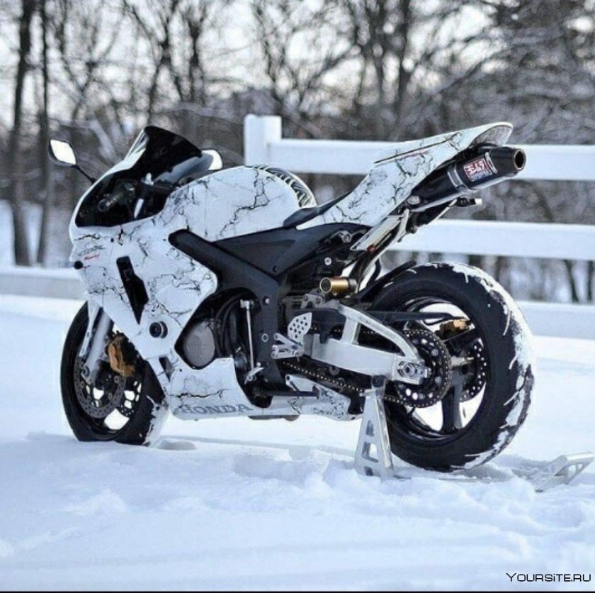 Honda cbr600rr белый