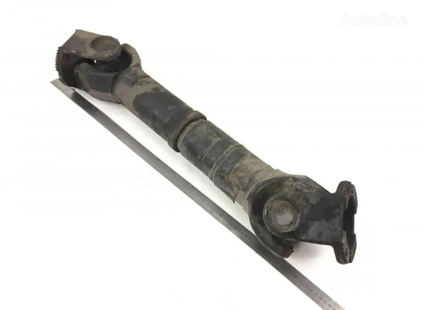 Кардан ман Lions