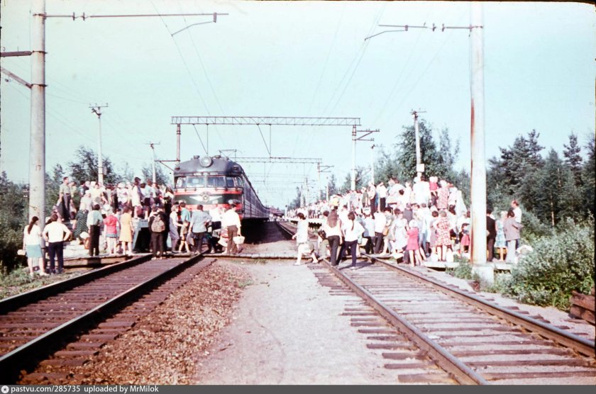 Станция Дунай Ленинградская область
