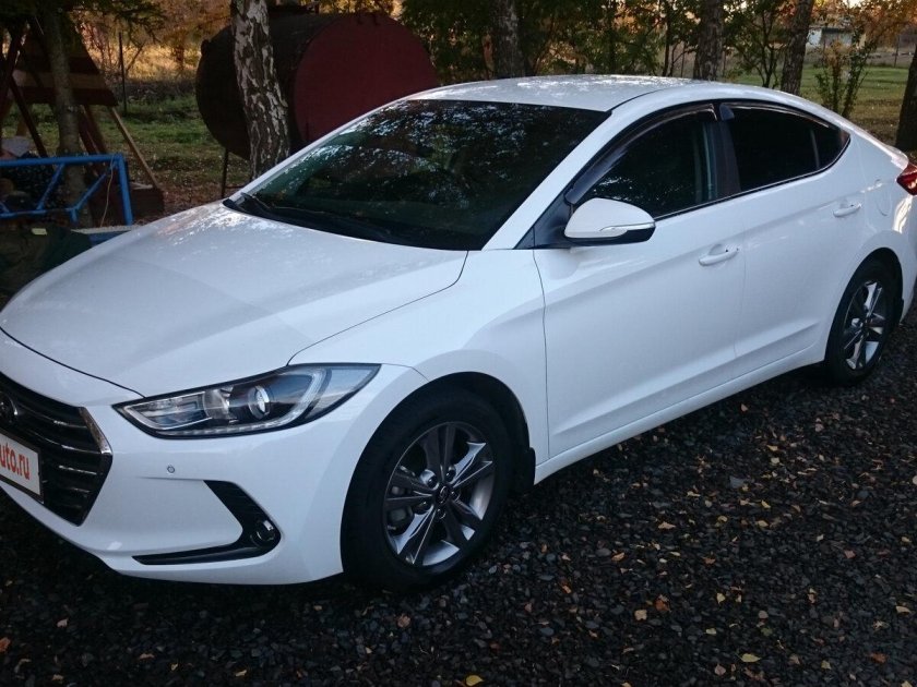 Элантра 2016 белая