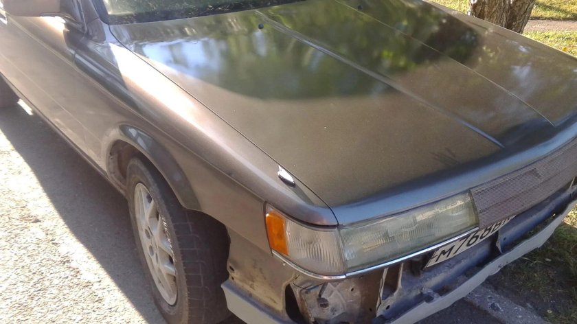 Краска кориандр 790