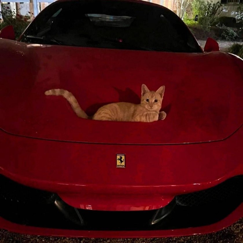 Феррари машина