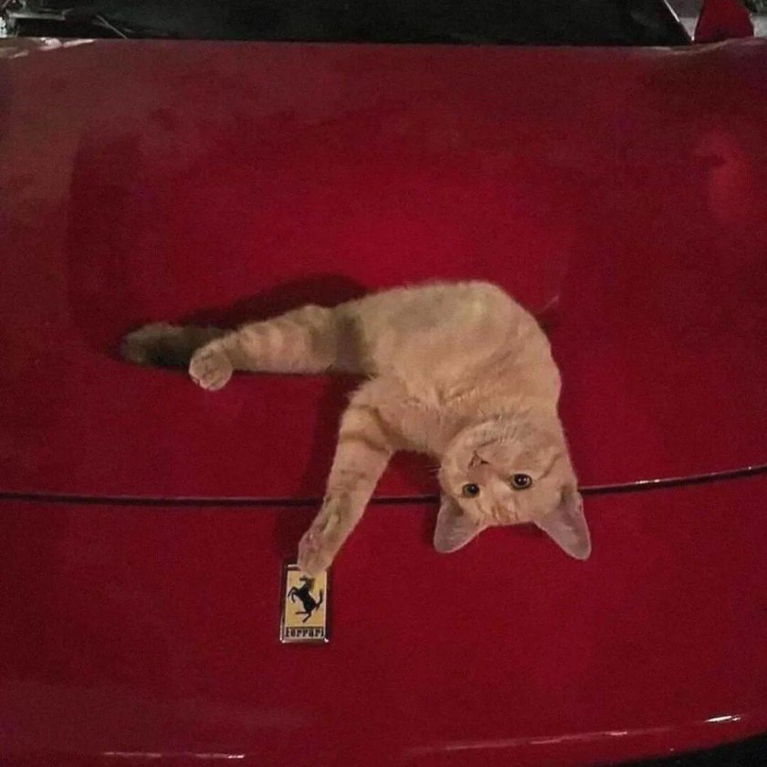 Феррари автомобиль