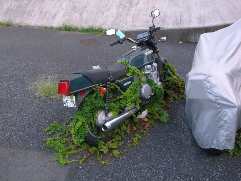 Шутки про мотоцикл